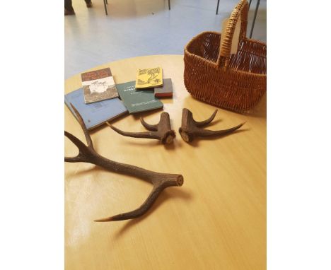  Sale Item:    BASKET ANTLERS BOOKS ETC (AF)   Vat Status:   No Vat   Buyers Premium:  This lot is subject to a Buyers Premiu