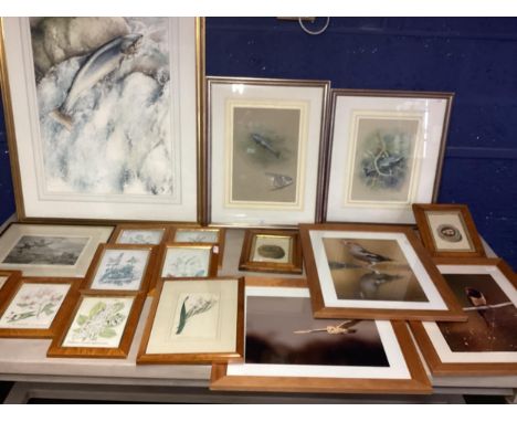 A quantity of framed and glazed prints, including Robin Armstrong Salmon Studies, dated 1984, largest 76 x 96cm incl frame; S