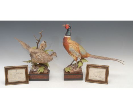 A pair of Royal Worcester porcelain models, Ring-Necked Pheasant Male and Female, modelled by R. Van Ruyckevelt, limited edit
