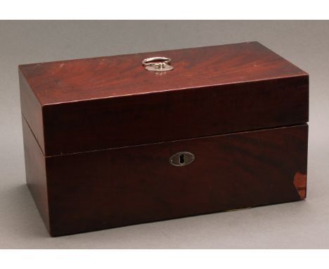 A George III silver mounted mahogany rectangular tea caddy box, hinged cover, the interior fitted for a pair of Neo-Classical