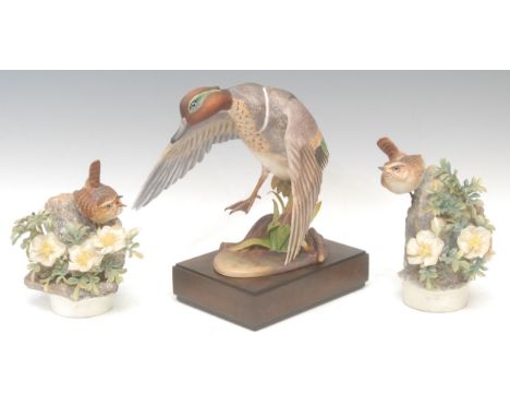 A Royal Worcester porcelain model, Green-Winged Teal, modelled by R. Van Ruyckevelt, limited edition 98/500, wooden stand, 34