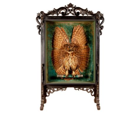 Taxidermy: A Late Victorian European Eagle Owl Mounted Firescreen, (Bubo bubo), circa 1890-1900, a full mount adult perched u