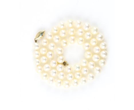 Pearl single strand necklace, white round pearls 6.5mm in diameter, strung with knots, 42.5cm in length, clasp stamped 14 ct 
