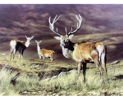 After T Ralph Hall (British contemporary): Highland Stag and Deer, limited edition print signed and numbered 101/295