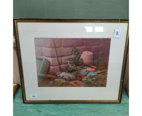 Raymond Watson (1935-1994) framed watercolour of a song thrush amongst garden debris, 15 1/2" x 11"