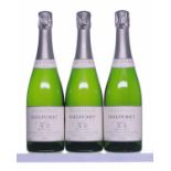 Egly-Ouriet V.P Viellessement Prolonge