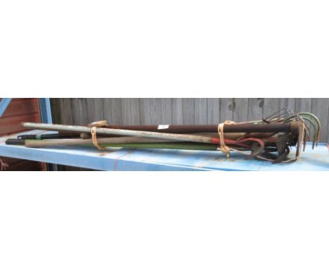 A BUNDLE OF NINE GARDEN TOOLS