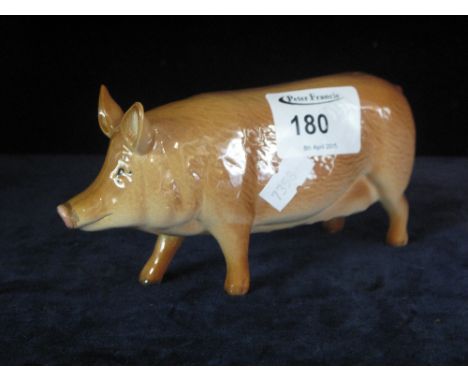 Royal Doulton bone china Tamworth pig.