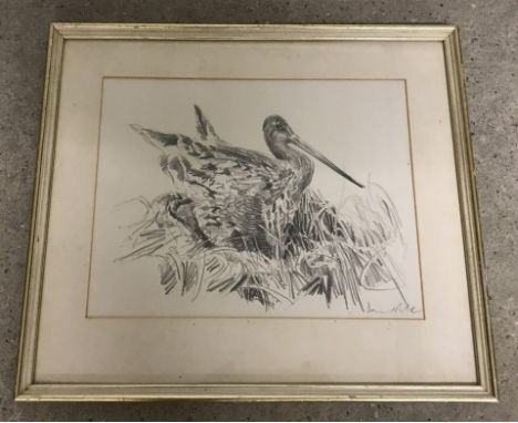 David Poole - pencil sketch of a Black Tailed Godwit. Framed & glazed. 20 x 25cm Please Note: All enquiries will be responded