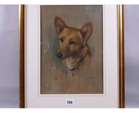 NESTA WARREN (Daughter of Warren Williams) fine oil - portrait study of the head of a Corgi type dog 'Tina', signed, 35 x 25 