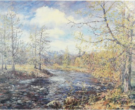 Butler Walters, Coloured signed photographic Limited Edition Artist Proof print, stream in woodland landscape, mountains beyo