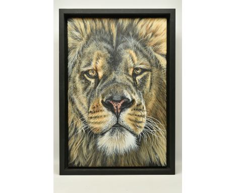GINA HAWKSHAW (BRITISH CONTEMPORARY) 'LIONS GAZE', a portrait of a Lion, initialled bottom right, oil on canvas, approximate 