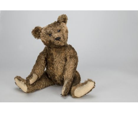 A rare early Steiff teddy bear,  with brown mohair, black boot button eyes, pronounced clipped muzzle, black stitched nose, m