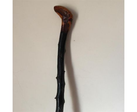 Blackthorn Walking stick