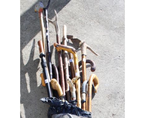 Two stag's horn handled walking sticks, an Alpine stick and a number of other walking and thumb sticks, various