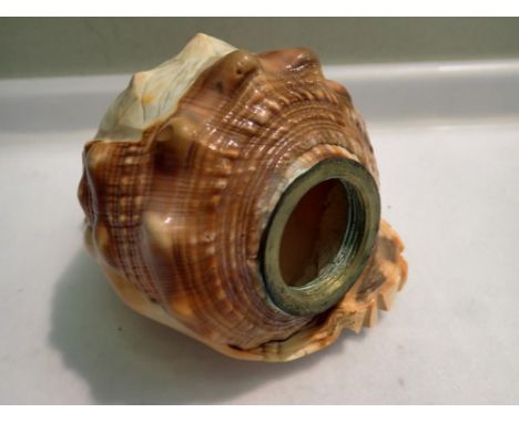 Carved cameo conch shell wall screw light fitting H: 12 cm. UK P&amp;P Group 2 (£20+VAT for the first lot and £4+VAT for subs