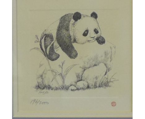 'Pinkyko' Limited edition print of a panda, numbered 196/2000, in a glazed frame, 11 x 11cm