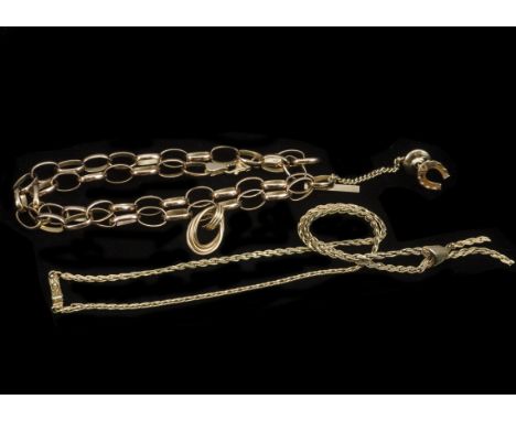 A collection of 9ct gold jewellery, including a flattened curb linked tassel necklace, an oval linked necklace, a horseshoe t