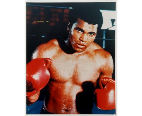 Boxing - Muhammad Ali - large colour photographic poster / print, signed in gold, flat, 16 x 20 inches. 