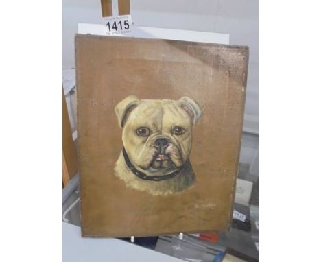 An oil on canvas dog portrait signed B Patrick,23cm x 28cm