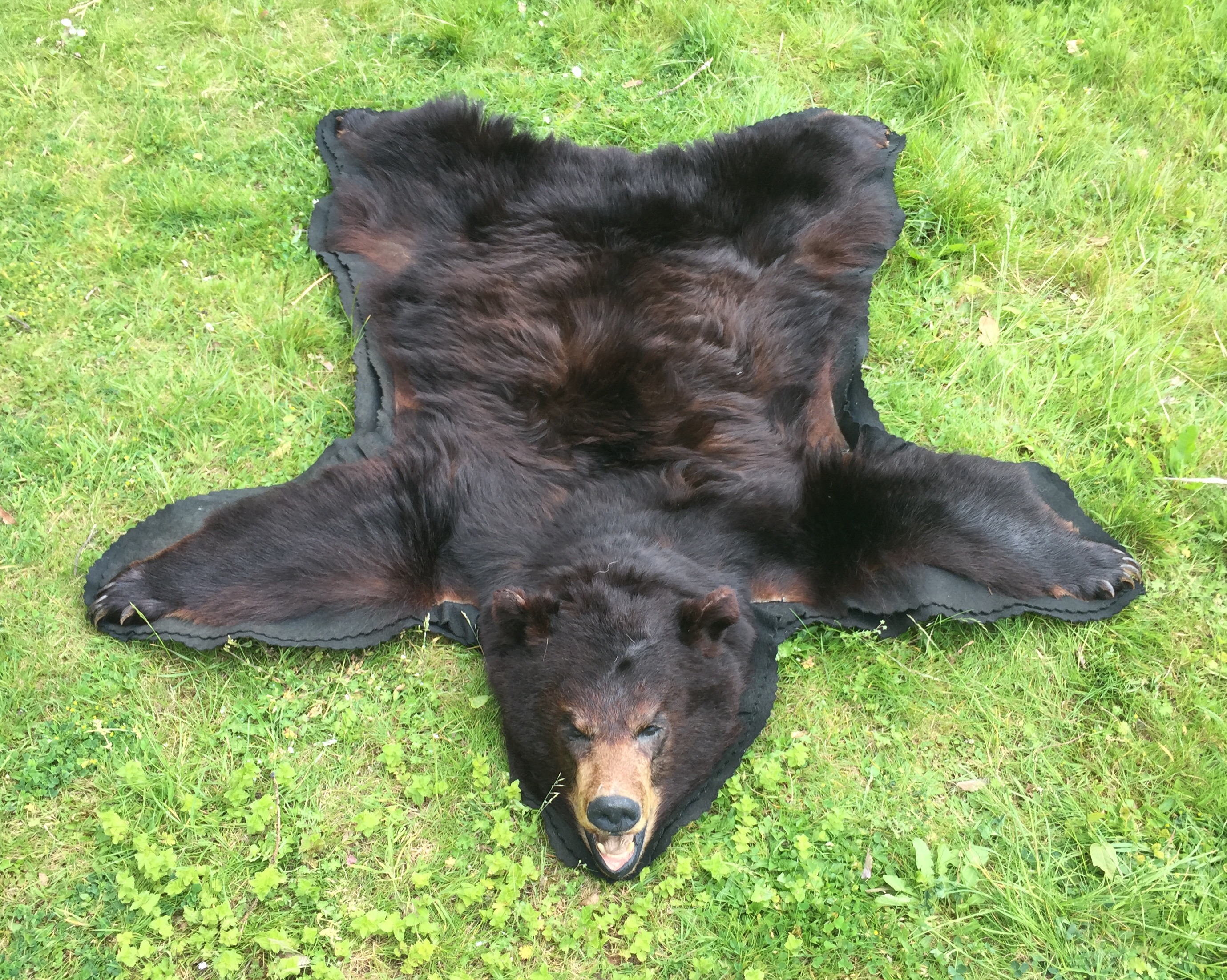 A LATE 20TH CENTURY TAXIDERMY BLACK BEAR SKIN RUG WITH MOUNTED HEAD. (l