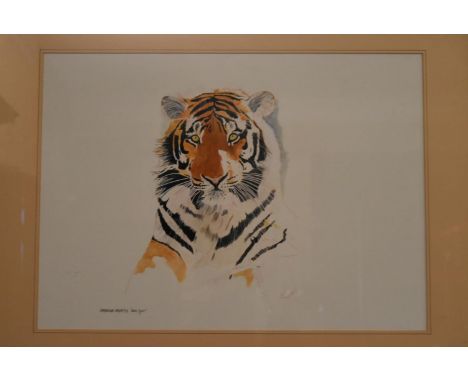 Graeme Sims, framed and glazed watercolour, Tiger portrait. H.66 W.82cm 