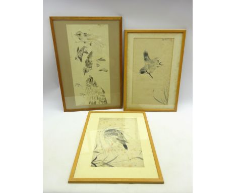 Japanese Meiji period drawing of a group of 4 various birds in pen, ink and colour, signed, 56 x 27 and 2 other Japanese draw