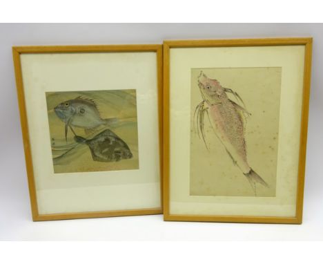 Japanese Meiji period drawing of 2 fish, with signature 25 x 26cms and another of a single fish 38 x 26cms, ink and colour-  