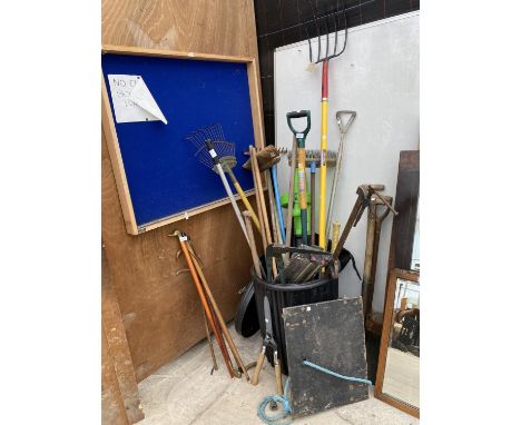 A LARGE ASSORTMENT OF GARDEN TOOLS TO INCLUDE SHEARS, FORKS AND SHOVELS ETC 