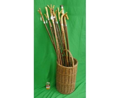 Walking sticks with stick stand 