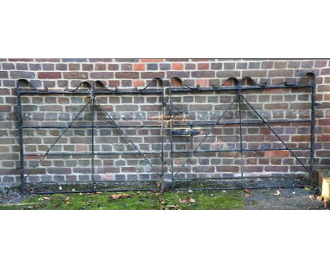A PAIR OF BLACK PAINTED IRON GATES19TH CENTURY Each gate 108cm high, 132cm wide, giving an overall span approximately 265m ov