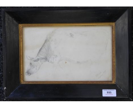 A pencil sketch drawing of a Cow, indistinctly signed, possibly J ALSOP, dated 1859, framed and glazed. 25.5 x 16 cm.