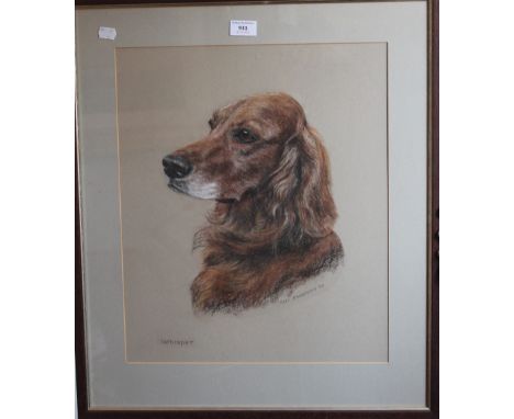 MARY BROWNING (20th/21st century) British, a pastel Dog Portrait, entitled ''Whisper'', framed and glazed. 39 x 46 cm.