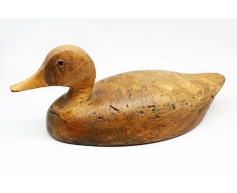 A late 19th century oak decoy duck, with lighter oak bill and glass eyes, unpainted, with impressed initials underneath 'LRF'