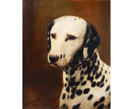HENRY CROWTHER (19TH/20TH CENTURY) 'Sue-Sue', portrait of a dalmation, signed and dated 1931, oils on board, 29 x 24cm