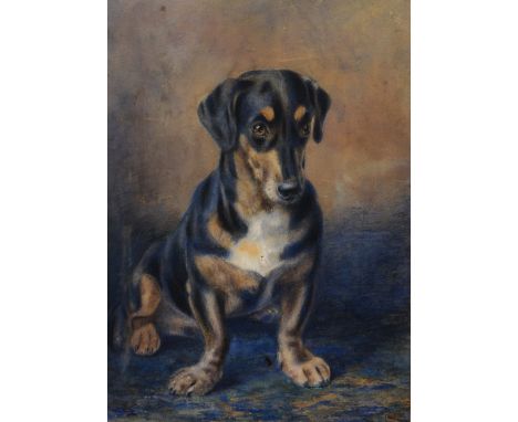 ENGLISH SCHOOL (19TH CENTURY) Portrait of a seated dachshund, indistinctly signed with initials F.C.(?) and dated 1879, water