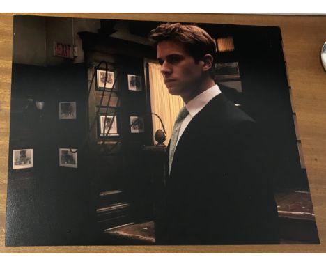 Armie Hammer actor signed 10 x 8 inch Colour Photo. Armand Douglas Armie Hammer is an American actor. The son of businessman 