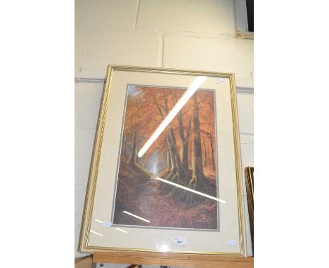 Coloured print on canvas, woodland scene
