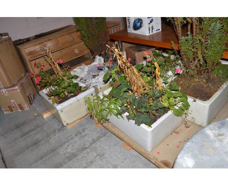 Five ceramic butler's sinks, each filled with flowers or trees.