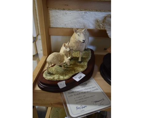 BORDER FINE ARTS MODEL 'NORTH COUNTRY CHEVIOT EWE WITH SCOTCH HALF-BRED LAMB' - LIMITED EDITION 677/950 WITH CERTIFICATE A/F