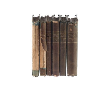 Baxter, W., British Phaenogamous Botany, Flowering Plants, Baxter, W., British Phaenogamous Botany or Figures and Description