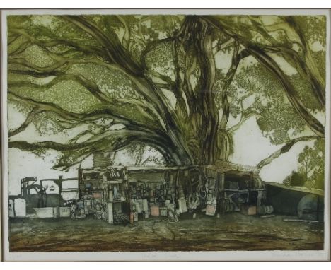 Brenda Hartill (British born 1943)/Theo's Shed/signed and dated 1984/limited edition 23/100/colour etching, 44cm 59cm  Condit