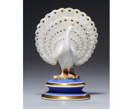 A CHAMBERLAIN WORCESTER MINIATURE WHITE AND GILT MODEL OF A PEACOCK, C1822 on matt blue and gilt socle, 8cm h, painted mark i
