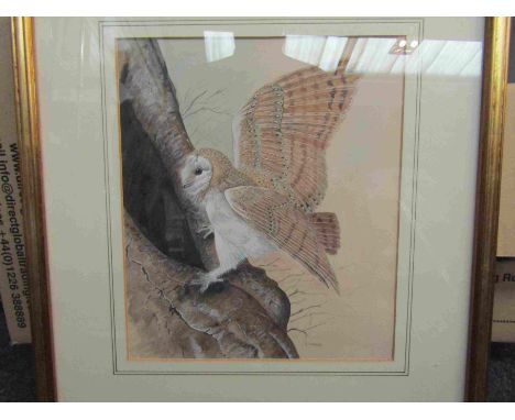 J.VINER: Watercolour depicting a barn owl perched on a tree, pencil signed lower right, framed and glazed, 27cm x 24cm approx