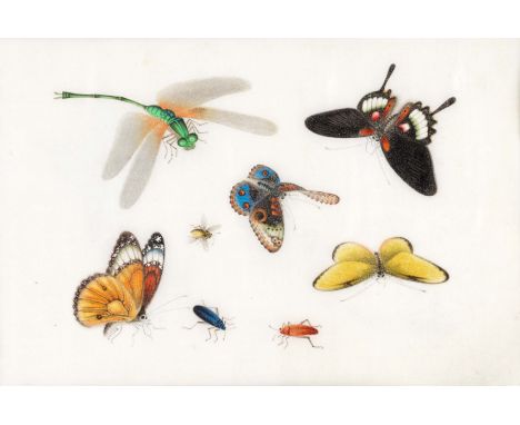 Youqua (Chinese, active circa 1840-1870)An album of twelve leaves of insect studies  a label stamped 'Youqua Painter, Old Str