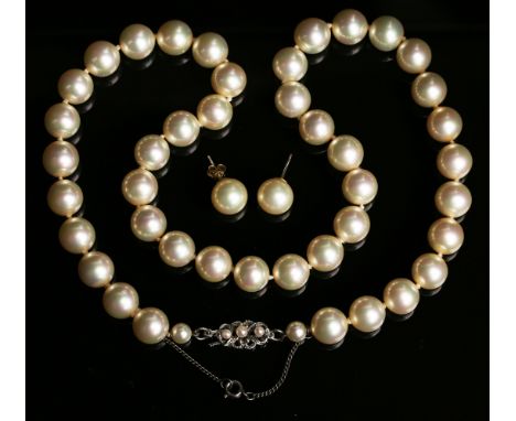 A single row necklace of Majorica imitation pearls on a 9ct white gold and cultured pearl clasp, length 53cm, and a pair of s