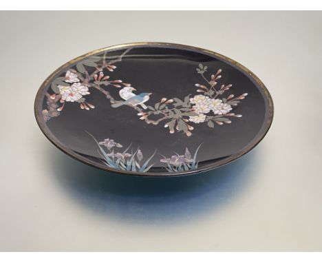 A Japanese cloisonne enamel plate, c. 1900, decorated with birds perched on a flowering bough above sprays of iris, unsigned.
