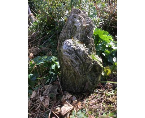 Fossilised tree trunk, approximately 43cm highProvenance: The Robert Barley Collection