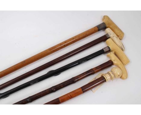 Group of five late 19th/early 20th century walking sticks with ivory handles, including one with Indian Jacaranda shaft and s