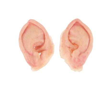 THE LORD OF THE RINGS: THE FELLOWSHIP OF THE RING (2001) - Old Bilbo Baggins' (Ian Holm) Silicone Hobbit Ears - Old Bilbo Bag